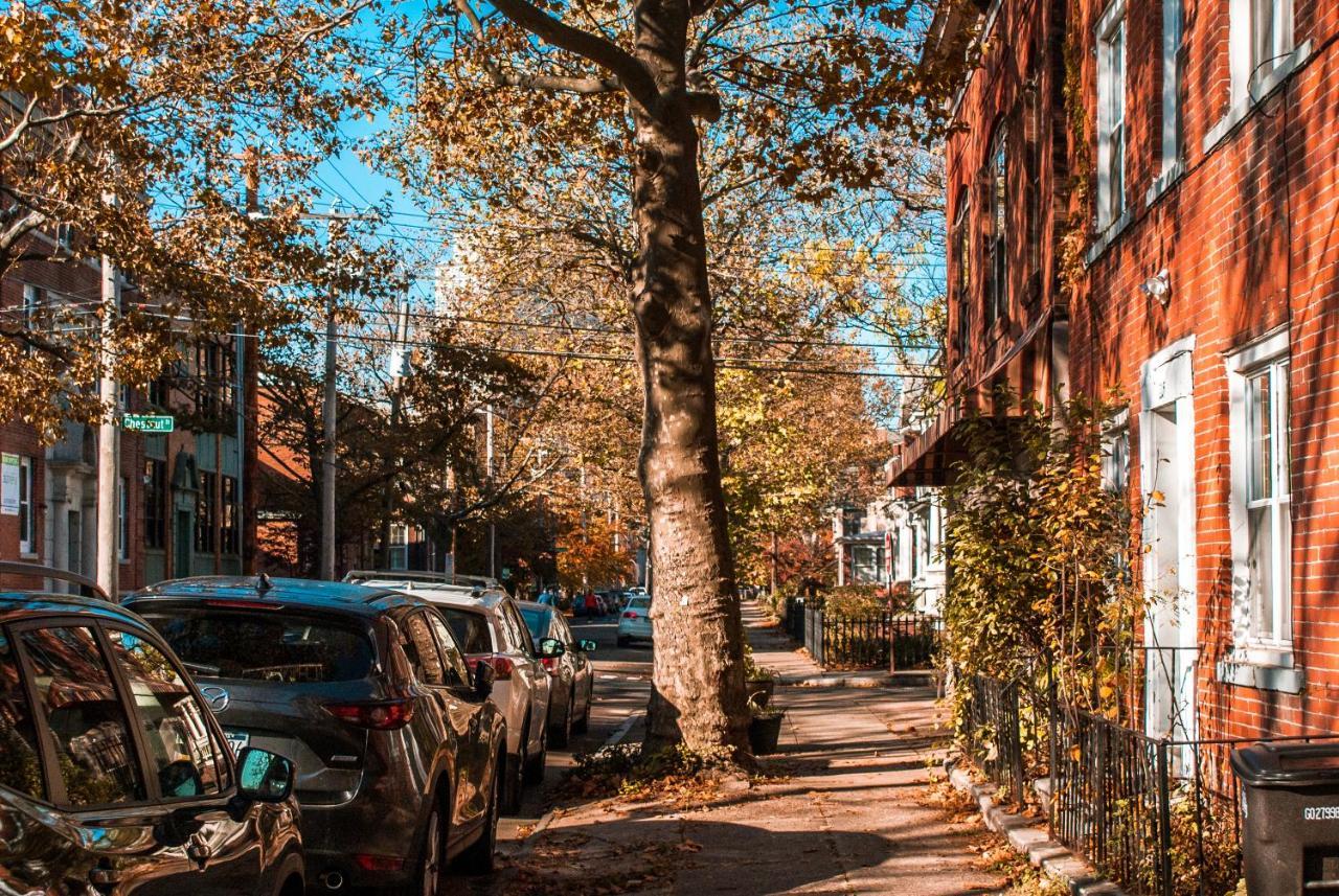 Gorgeous 1Br Wooster Sq. Apt. - Wshr/Dryr, Parking New Haven Buitenkant foto